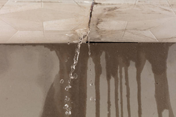 Professional Burst Pipe Cleanup technician working in Lyons, MI